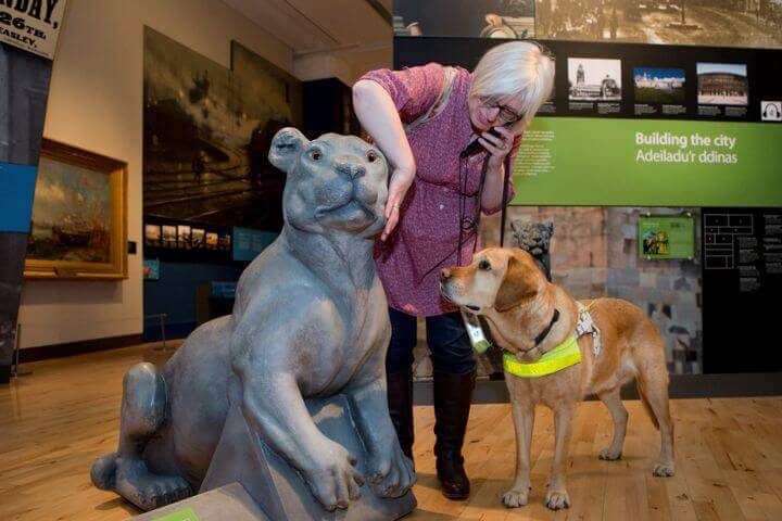 guide dog, accessibility, museum, gallery, cardiff story museum