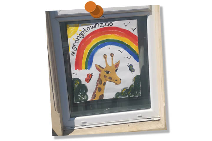 Drawing of rainbow and zoo animals, displayed in window. Reads #GrangetownZoo